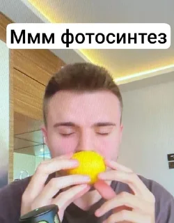 Sticker Санчез - 8