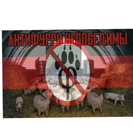 Потная Лига | Антифурри-Хуесосы @pmc_ocaf - 