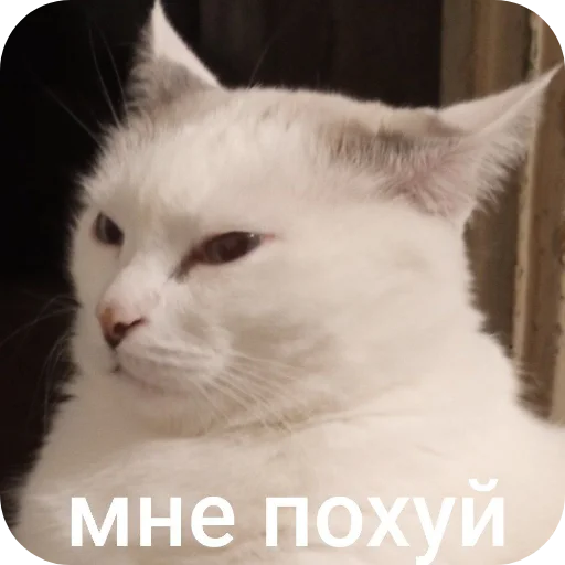 Стикер OcherednoeVP - 1