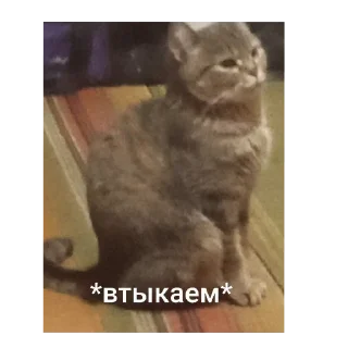 Sticker Очередное ВП?! - 4