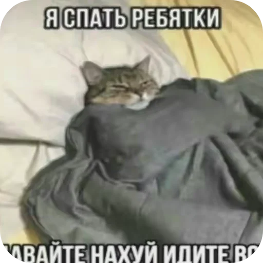 Sticker OchkoDeda6 - 1