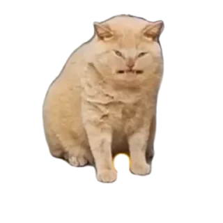 Sticker Очьвлылы - 1