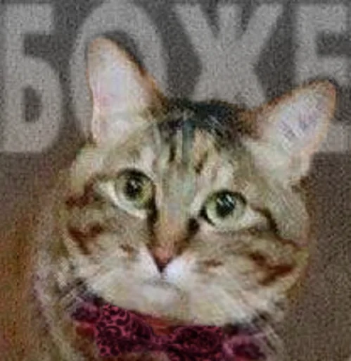 животное млекопитающее СМС