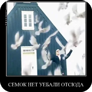 Стикер Стикеры Тапочки по Клипу🤟 - 5