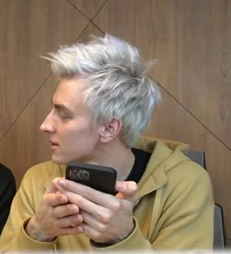 Человек человеческое лицо комнатный