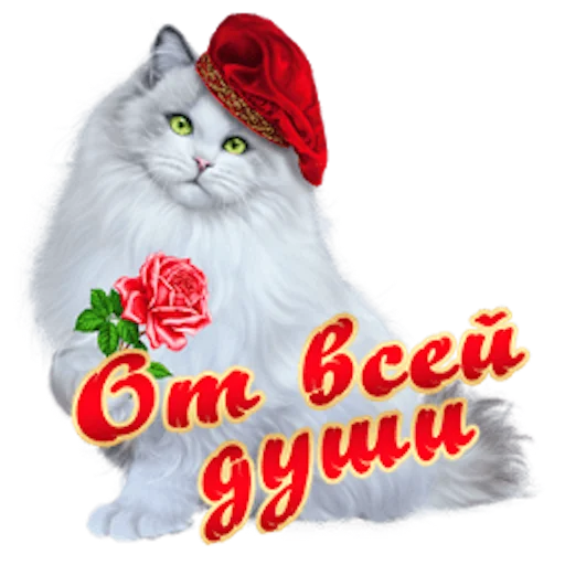 cat small to medium-sized cats felidae