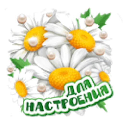 flower birthday cake