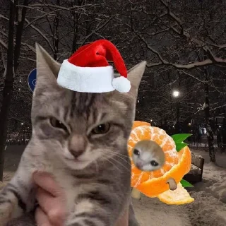 Стикер Больше стикеров 👉🏻 @stickertg4 - 2