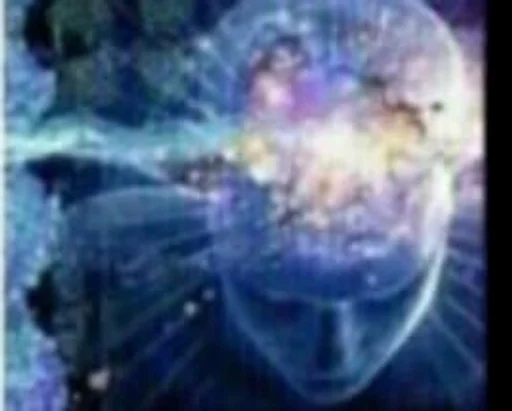 animal invertebrate marine invertebrates