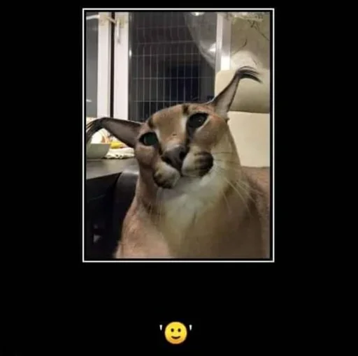 Sticker OetVgD_by_stickers_stealer_bot - 1