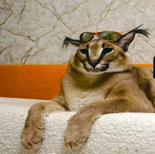 Sticker OetVgD_by_stickers_stealer_bot - 1