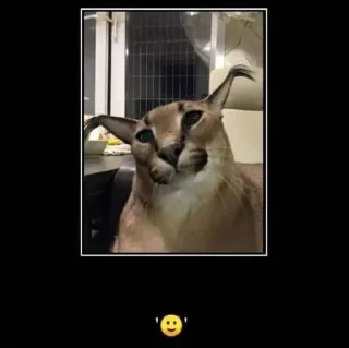 Стикер Больше стиков тут: @stikiin - 5