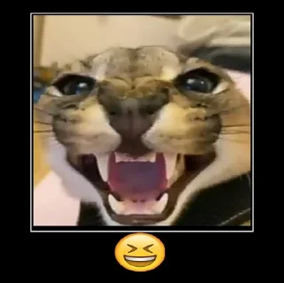 Стикер Больше стиков тут: @stikiin - 9