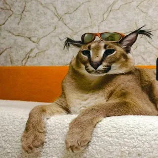 Стикер Больше стиков тут: @stikiin - 2