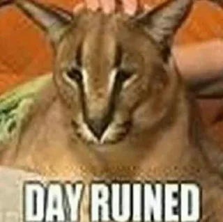 Стикер Больше стиков тут: @stikiin - 7