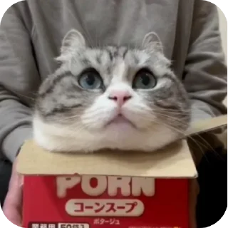 Стикер Ого :: @Fckingded - 2