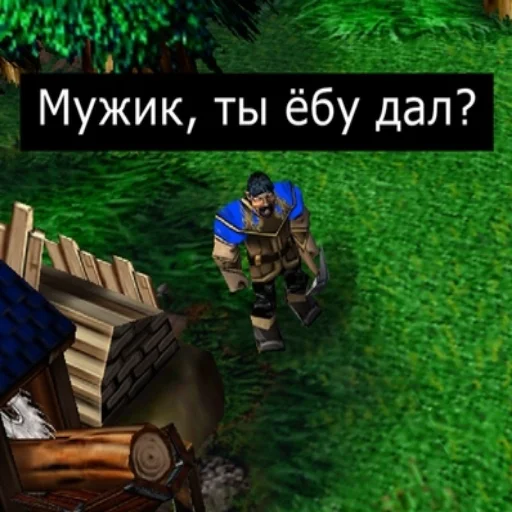 pc game video game software strategy video game