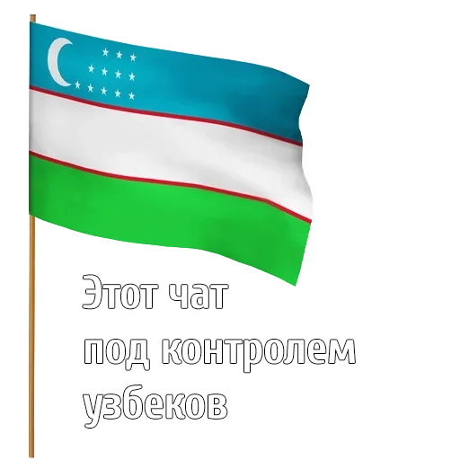 СМС флаг скриншот