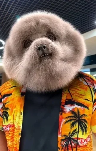 Стикер Больше стикеров 👉🏻 @stickertg4 - 11