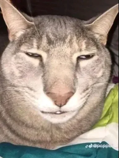 Стикер Больше стикеров 👉🏻 @stickertg4 - 7