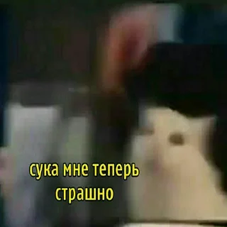 Sticker Oh.. No CRINGE! Two - 10