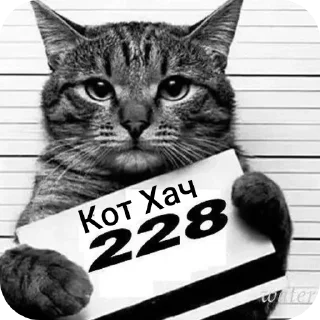 Sticker :: шизик - 10