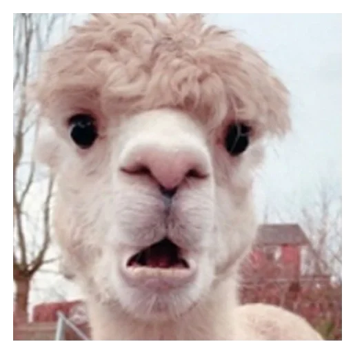 Sticker Oiv_Fn9h0i_by_sticker0020Bot - 1