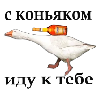 Стикер Oiv_Fn9h0i - 9