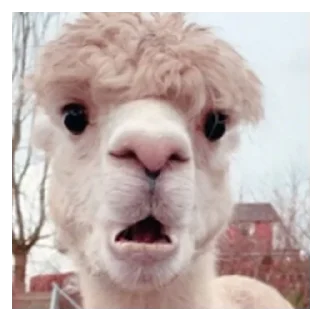 Стикер Oiv_Fn9h0i - 11