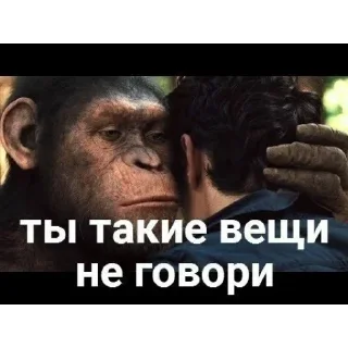 Стикер Oiv_Fn9h0i - 7