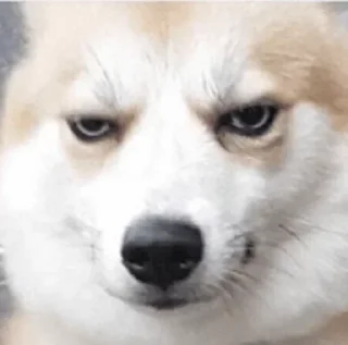 Стикер Больше стикеров 👉🏻 @stickertg4 - 8