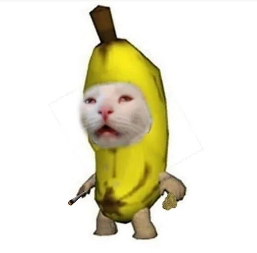 млекопитающее животное кошка