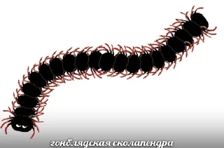 2к18 жирные члены vol.5 ?? by @fStikBot - text