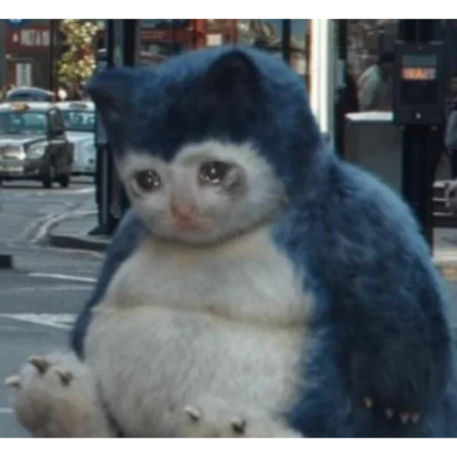 млекопитающее животное мех