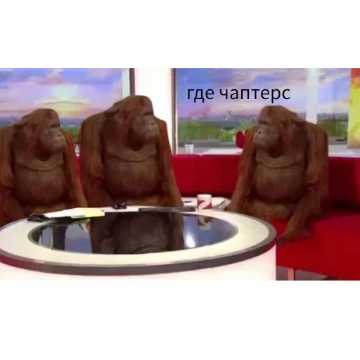 млекопитающее скриншот ванна