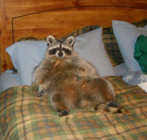 Sticker badabing badaboom - 2