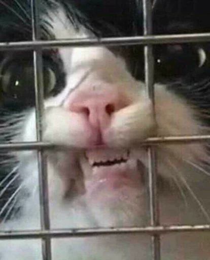 Sticker badabing badaboom - 1