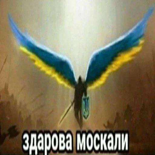 Стикер αᵐℴℴ ᵣ - 1