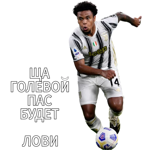 Sticker Old_seniors - 1