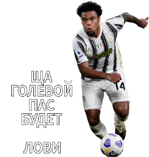 Стикер Старые синьоры - 10