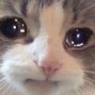 Sticker 江湖社群 - 1