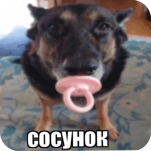 Стикер OlegYajcemuchenik - 1