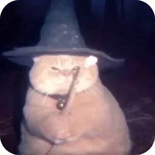 Стикер Олеся Александровна любими - 1