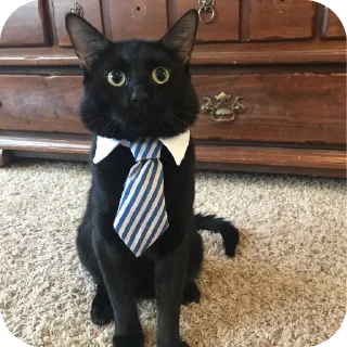 Стикер Олеся Александровна любими - 7