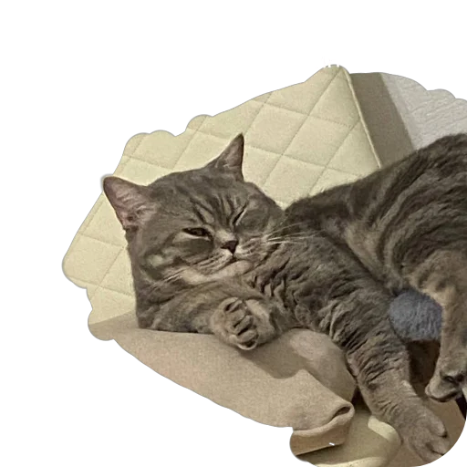 Sticker OlezhaYAkut - 1