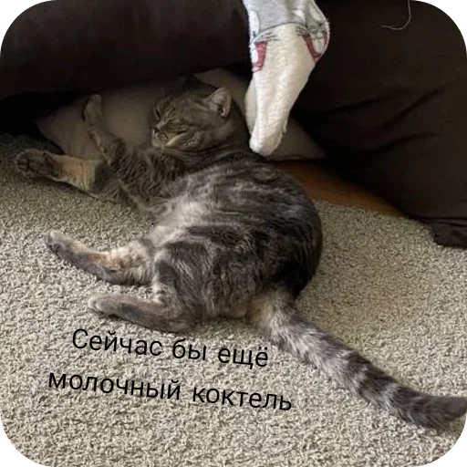 Sticker OlezhaYAkut - 1