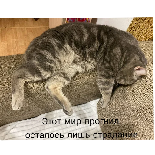 Sticker OlezhaYAkut - 1