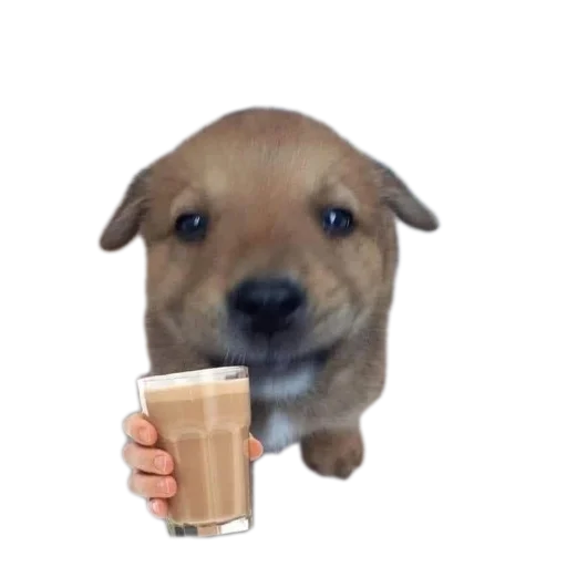 Стикер OlezhaYAkut - 1