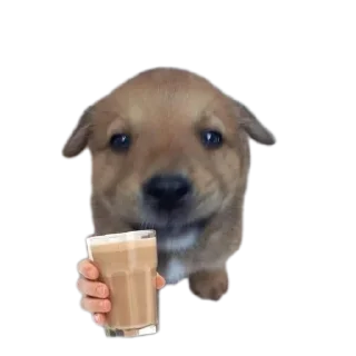 Sticker Бля, солянка я ебу - 1