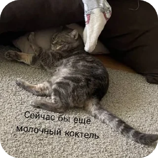 Sticker Бля, солянка я ебу - 7